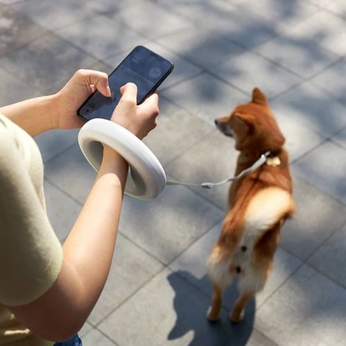 LED dog leash ring with illuminated hands free design for safer nighttime dog walks model shot