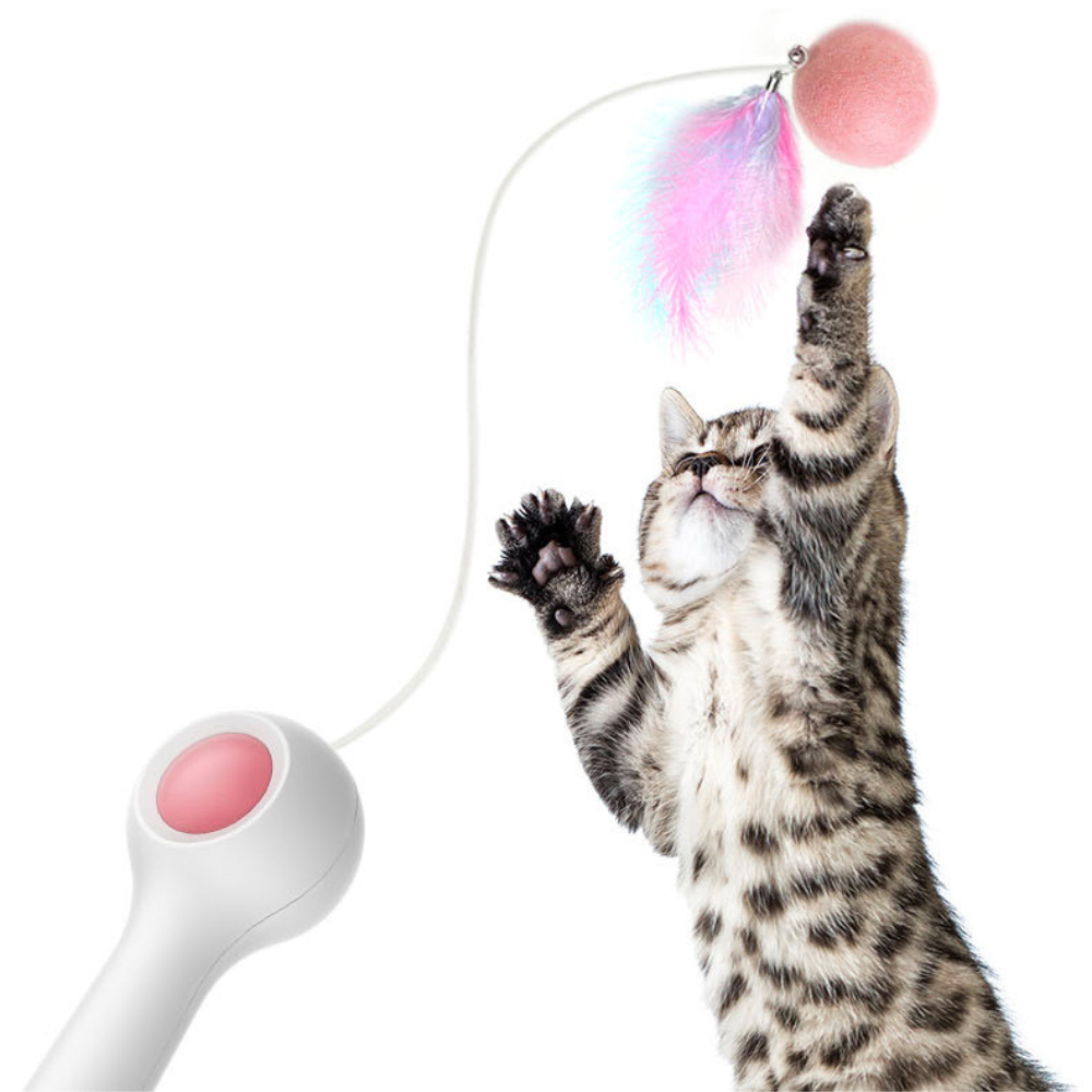 Retractable feather cat toy with interactive teaser design and playful hunting stimulation for cats depiction of play
