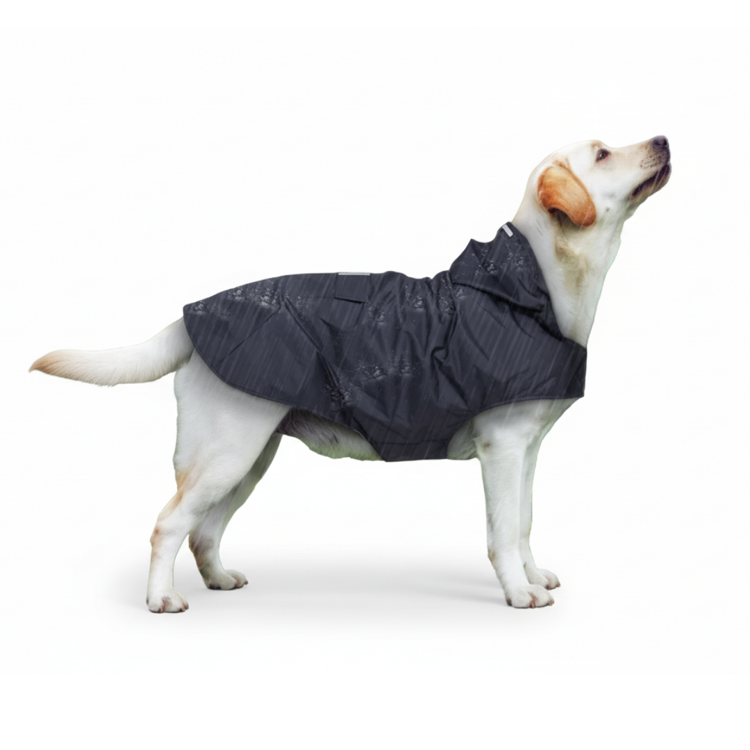 Waterproof dog raincoat in black color with hood lightweight pet jacket for rainy weather (Color: Black)