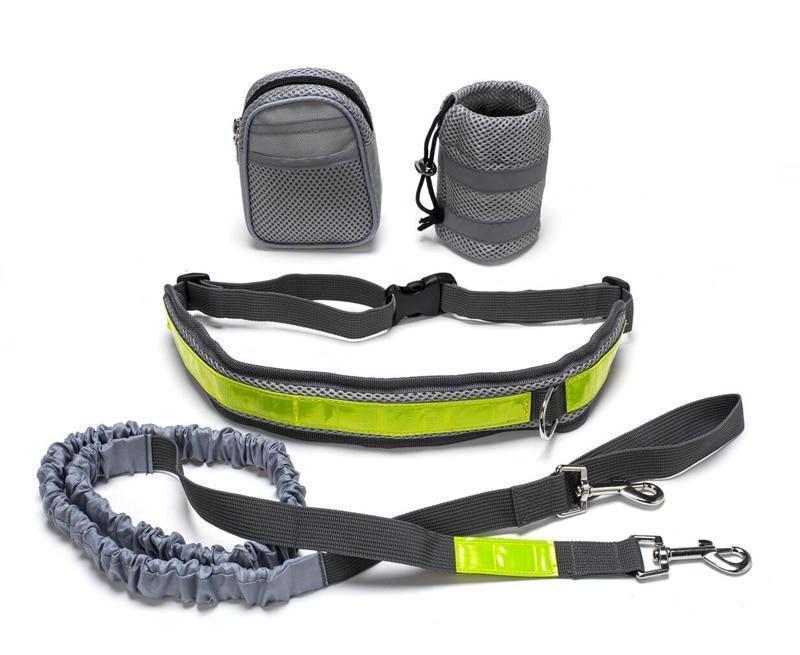 Adjustable Hands Free Dog Leash Parts