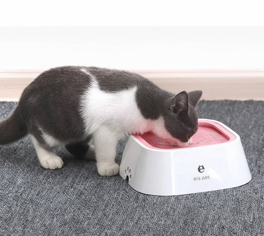 Anti spill pet water bowl with floating disk design to reduce mess and control drinking depiction of a cat drinking water
