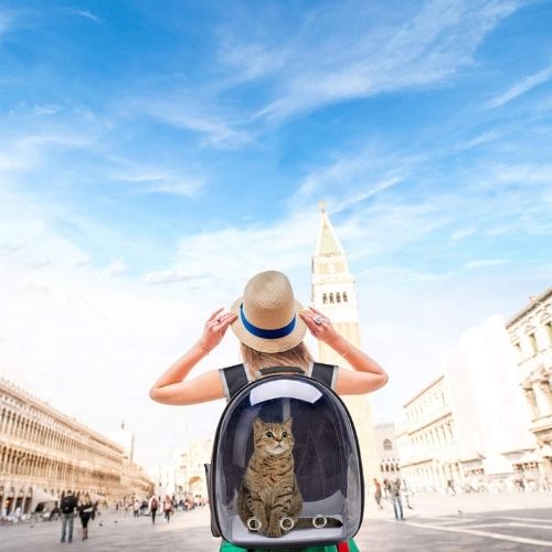 Cat carrier backpack with transparent capsule window breathable design and padded travel straps model shot