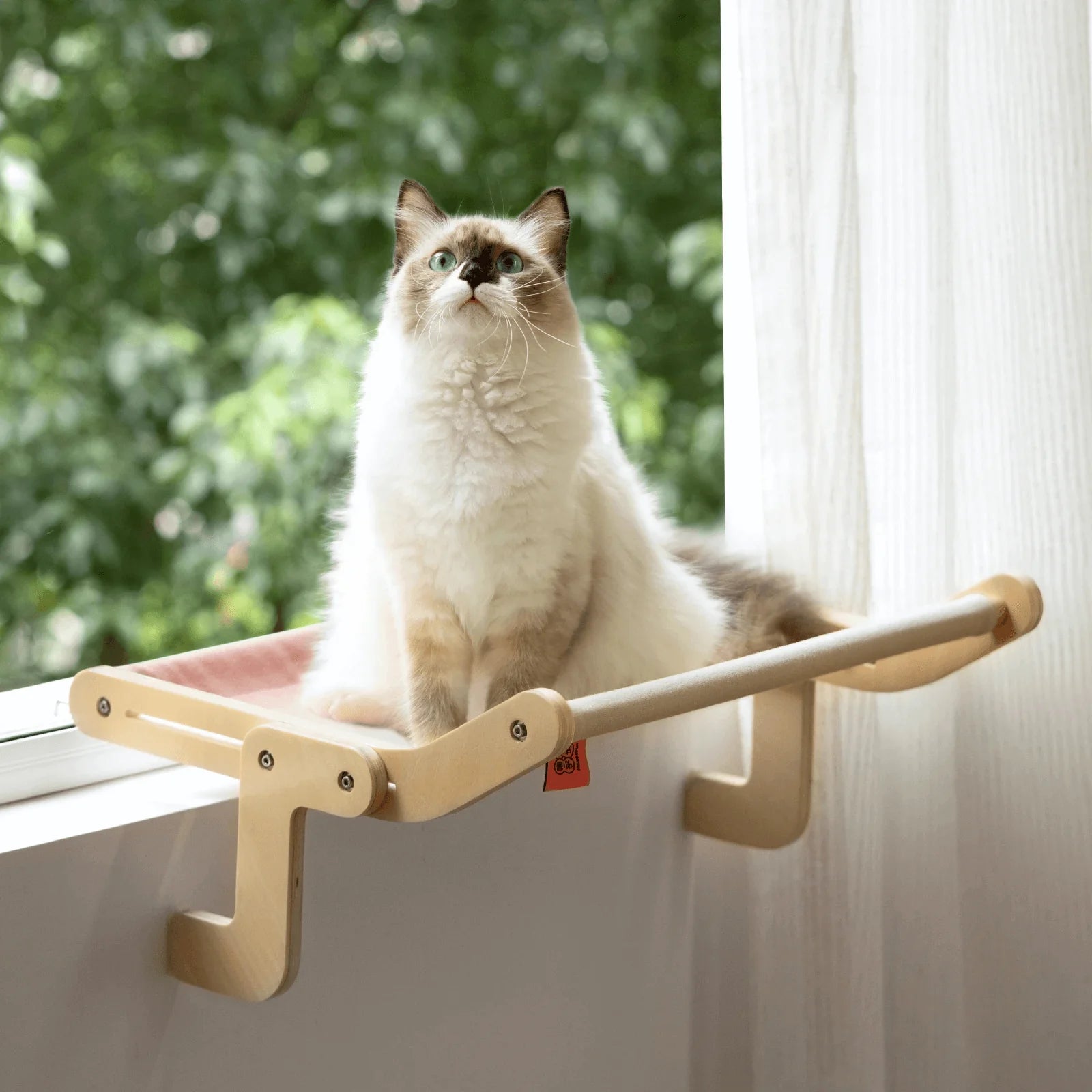 Cat hanging bed elevated pet bed with strong support and washable cover alternate depiction of use on window side