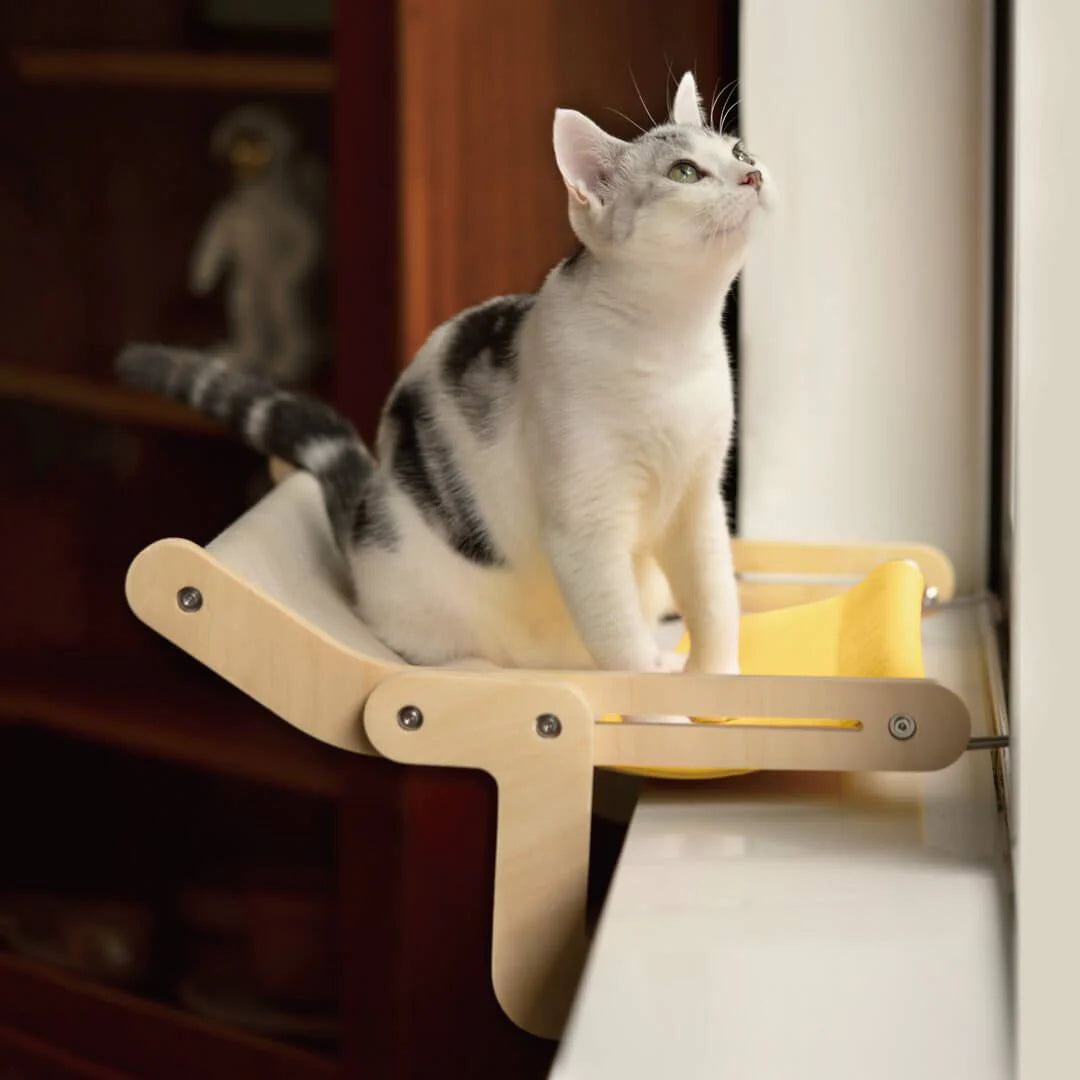 Cat hanging bed elevated pet bed with strong support and washable cover depiction of use on window side