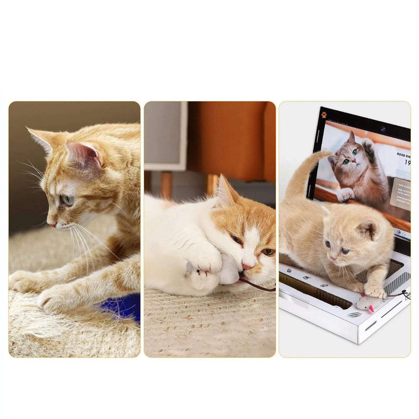 Cat scratching laptop board with cardboard surface toy mouse and interactive ball track use cases