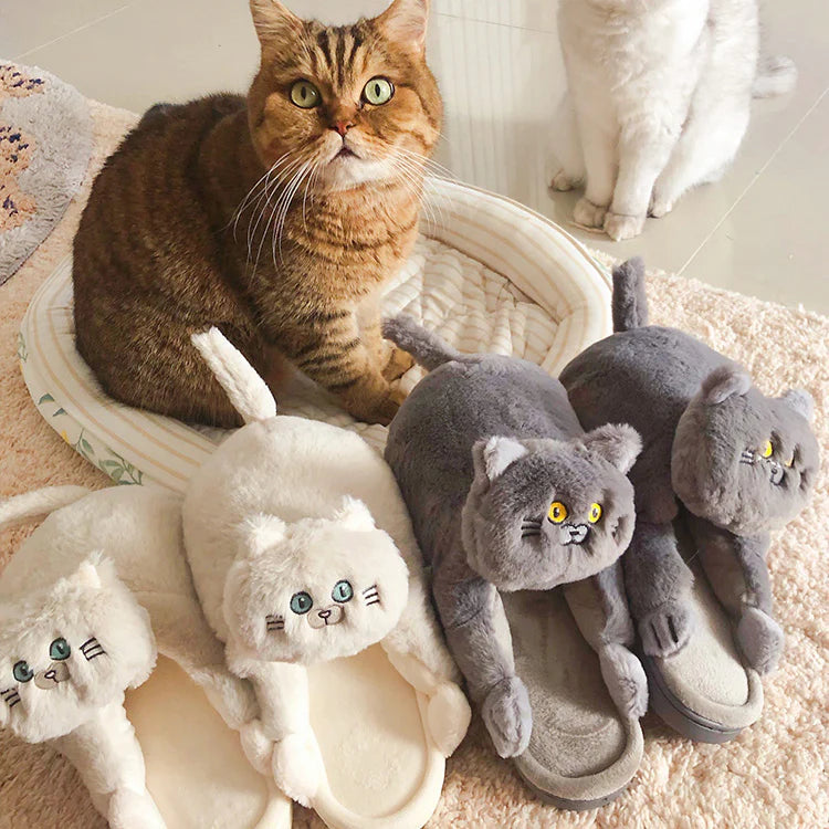 Cat slippers plush indoor footwear with soft lining and non slip sole for comfort cat model shot