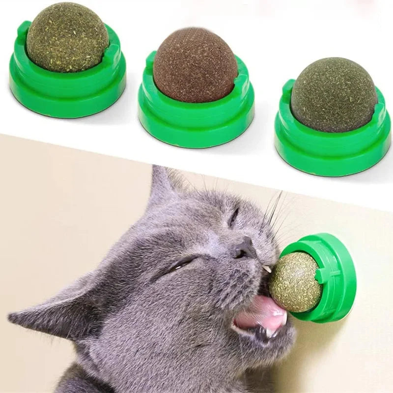 Catnip wall balls for cats 3 pack with adhesive backing for interactive play and self grooming