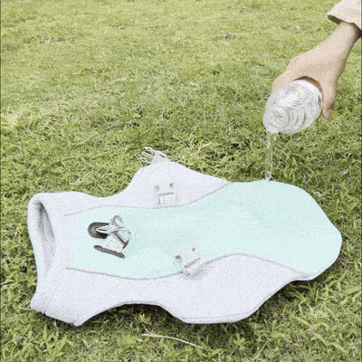 Dog cooling vest with breathable mesh and moisture wicking fabric for hot weather comfort gif