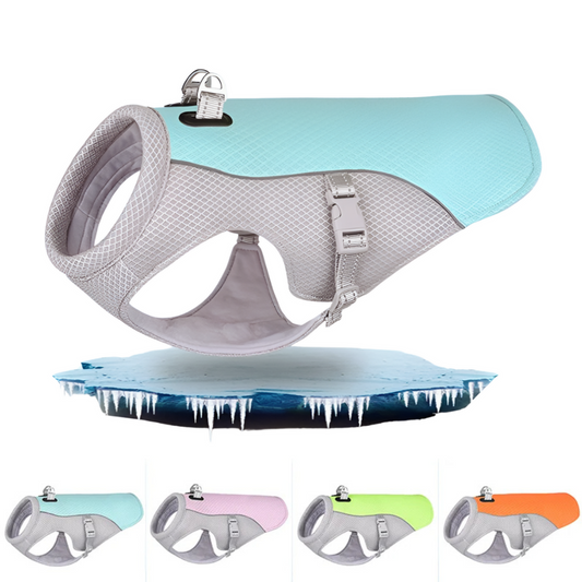 Dog cooling vest with breathable mesh and moisture wicking fabric for hot weather comfort