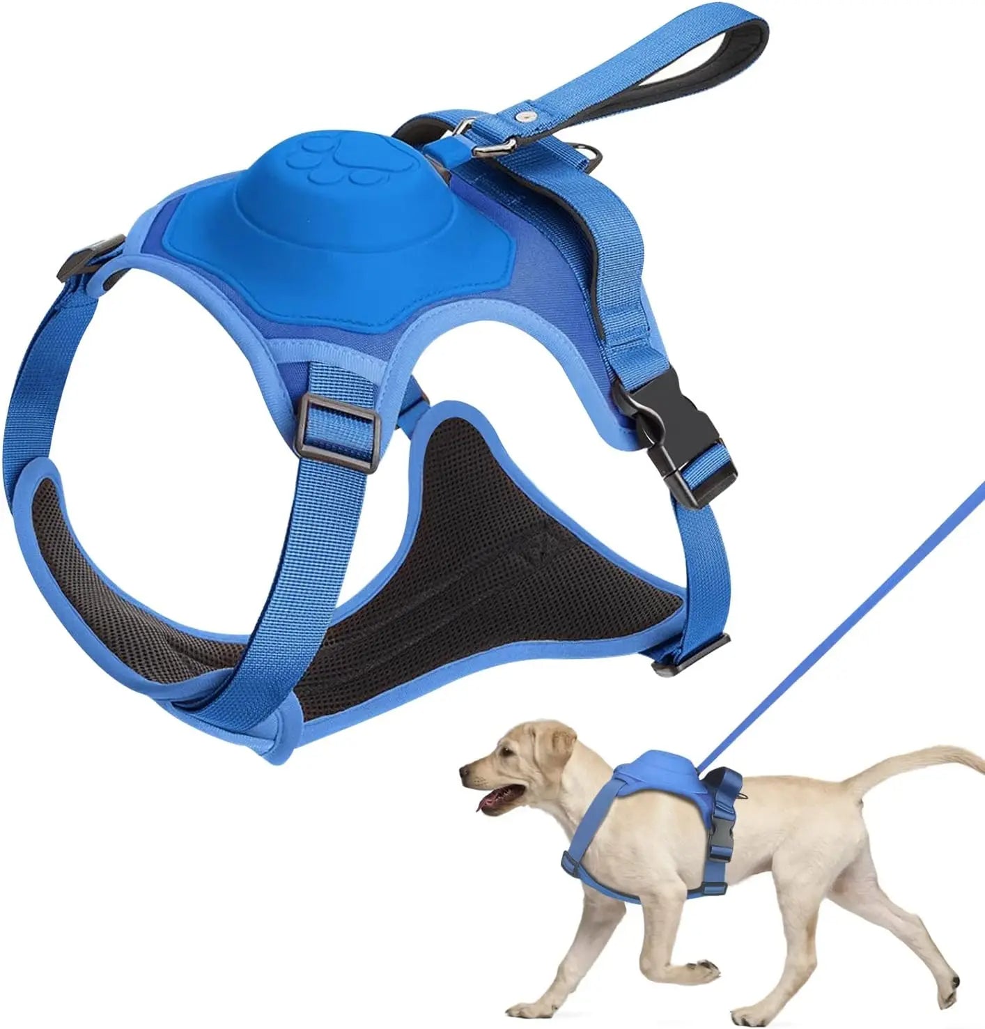Dog harness and retractable leash set in blue color with adjustable straps and anti tangle design for safe walking (Color: Blue)
