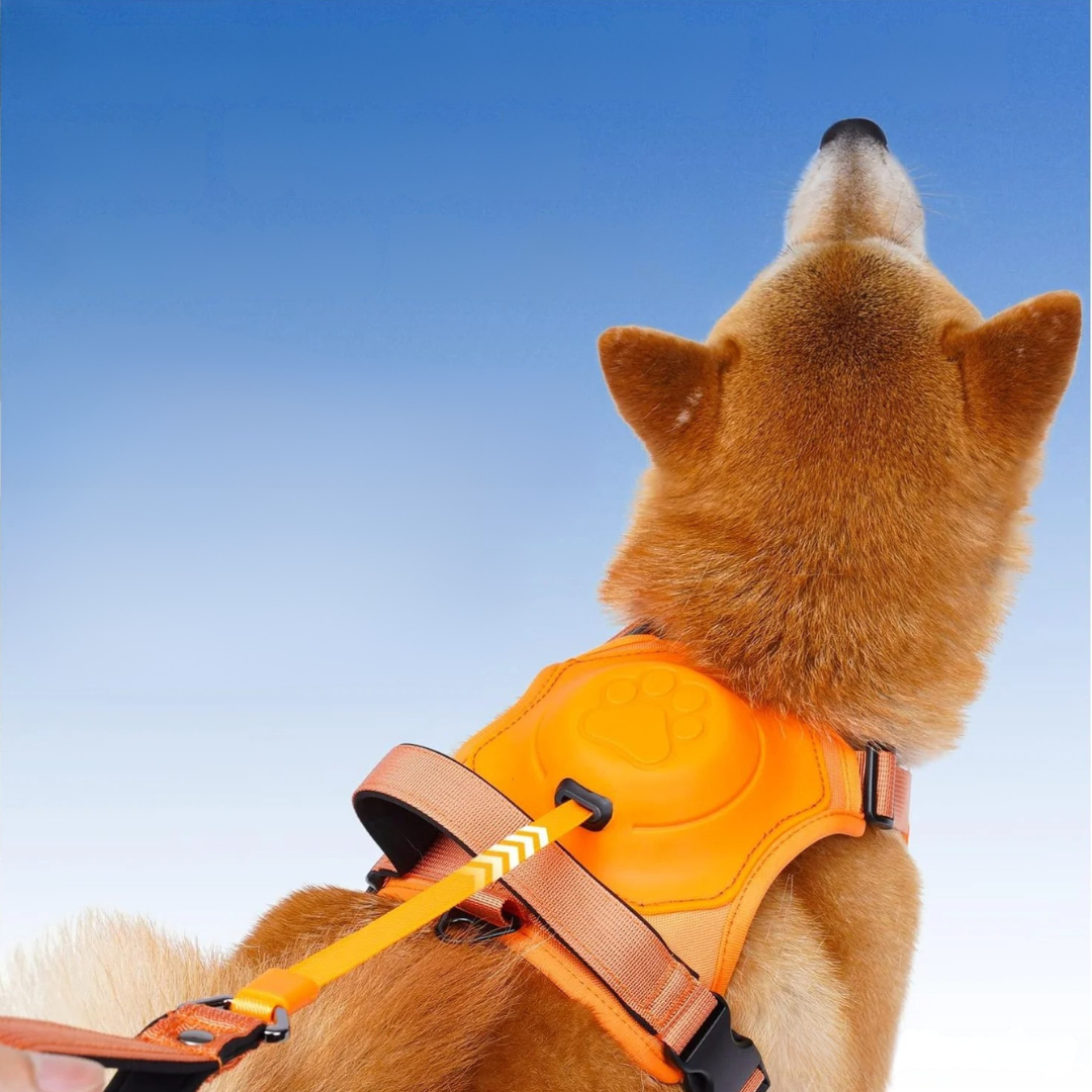 Dog harness and retractable leash set with adjustable straps and anti tangle design for safe walking model shot