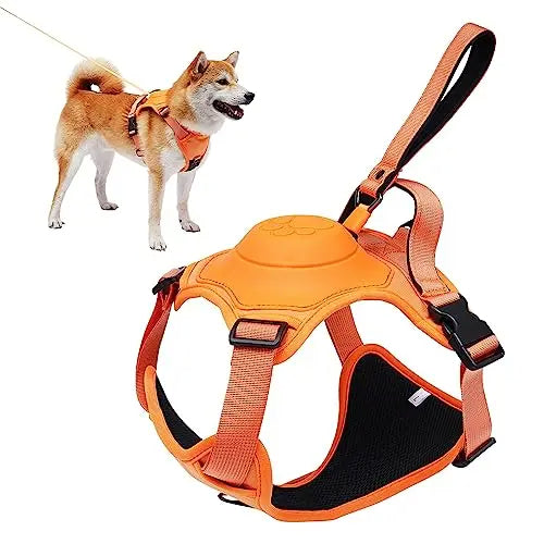 Dog harness and retractable leash set in orange color with adjustable straps and anti tangle design for safe walking (Color: Orange)