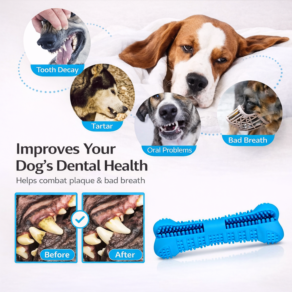Dog toothbrush chew toy made of soft rubber for dental cleaning and plaque removal depiction of benefits