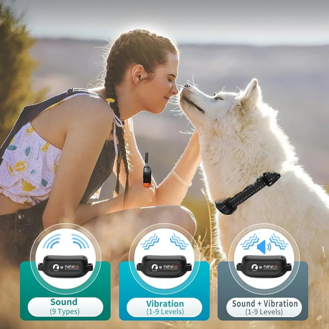 Dog training collar with vibration and beep remote waterproof long range model shot