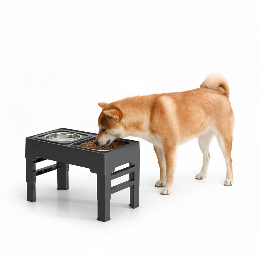 Elevated adjustable dog bowl with slow feeder and splash proof water design dog model shot