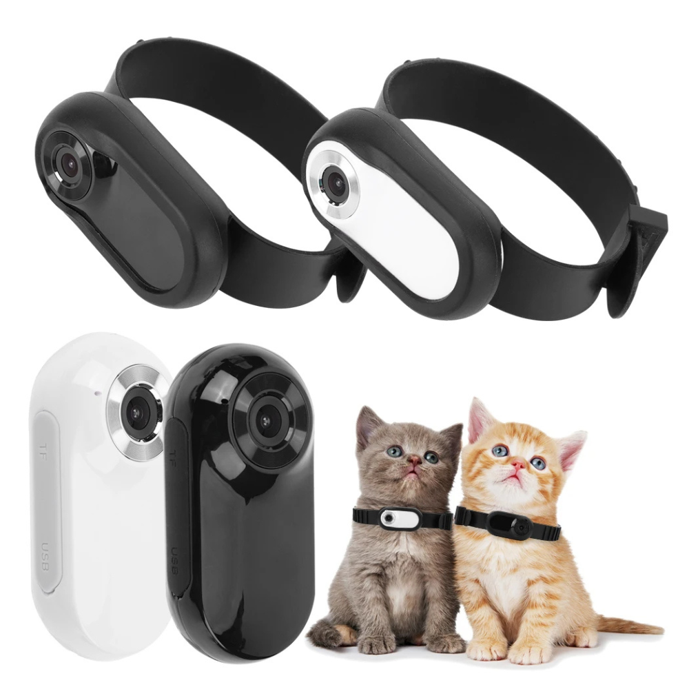 Pet camera collar with 1080p hd recording lightweight clip on design for cats and dogs