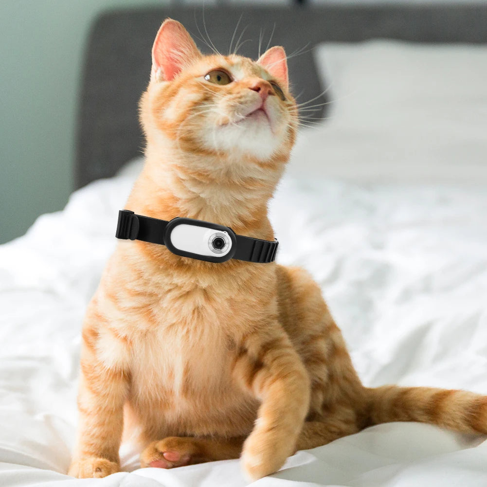 Pet camera collar with 1080p hd recording lightweight clip on design for cats and dogs model shot
