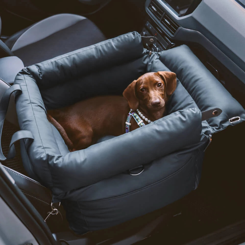 Pet car seat bed with safety buckle and padded design for safe and comfortable travel dog model shot