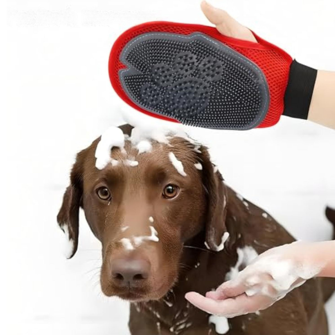 Pet grooming glove for bathing and shedding removal with soft bristles for dogs and cats depiction of use with a dog