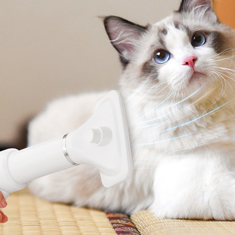 Pet hair dryer brush designed for drying and grooming dogs and cats during home grooming with a cat