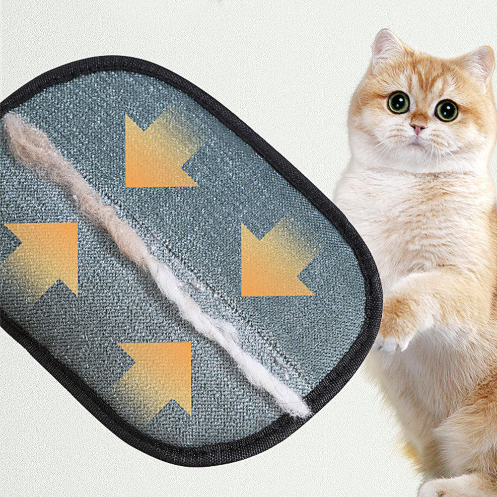 Pet hair removal gloves for grooming shedding and bathing dogs and cats product shot with a cat