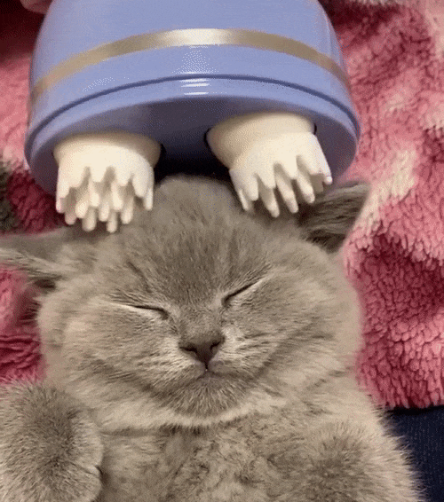 Pet head massager for cats and dogs gentle scalp massager for relaxation and comfort depiction of use on a cat gif