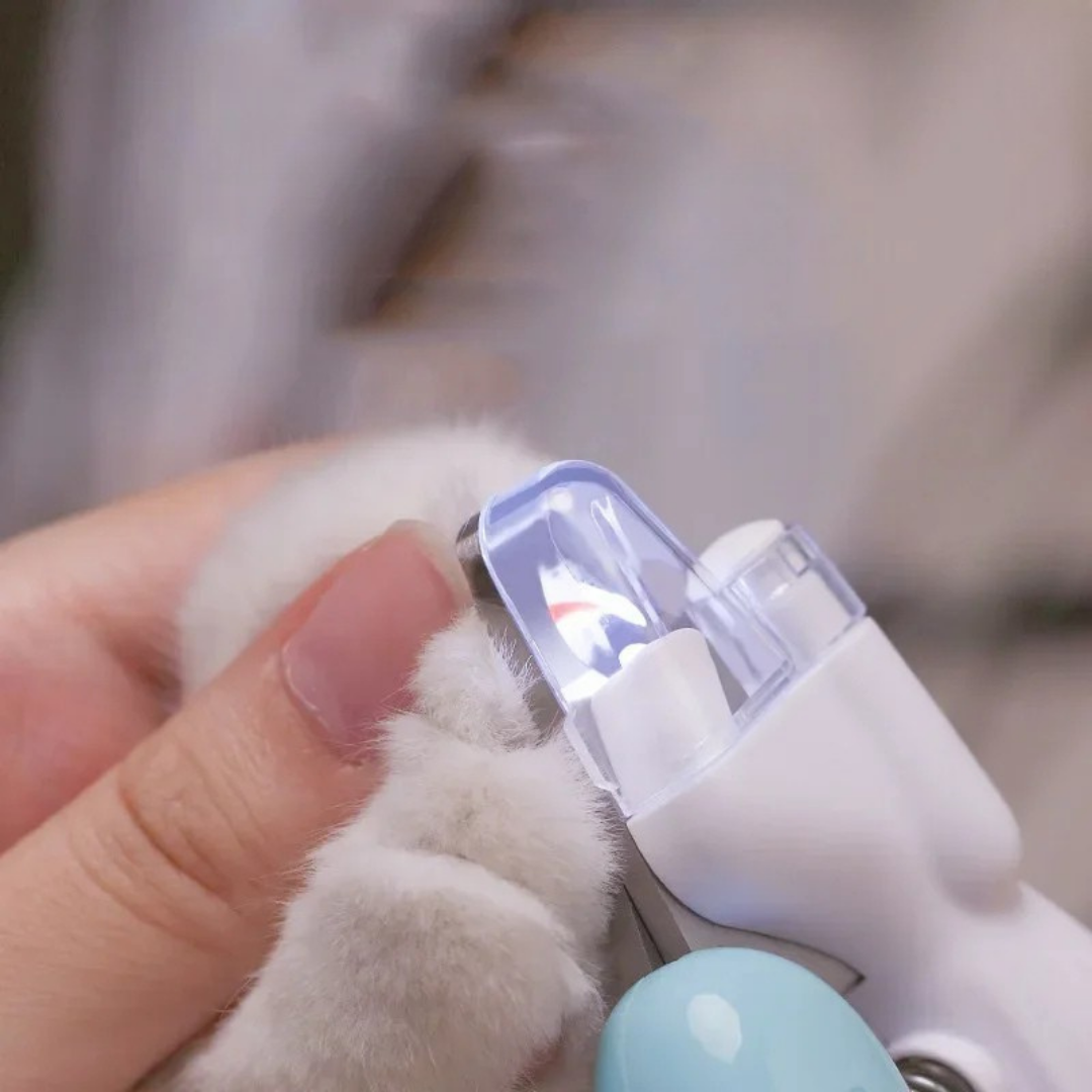 Pet nail clippers with led light for safe and precise trimming for dogs and cats depiction of LED light