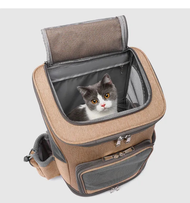 Pet travel backpack with wheels designed for carrying cats and small dogs during travel and outdoor activities birds eye view