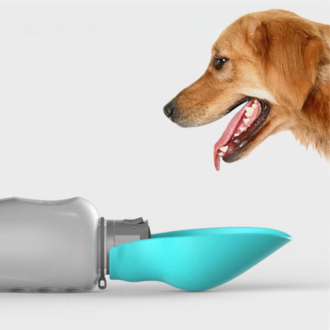 Portable dog water bottle with built-in bowl and one-button dispenser for outdoor hydration depiction of flat water feeding