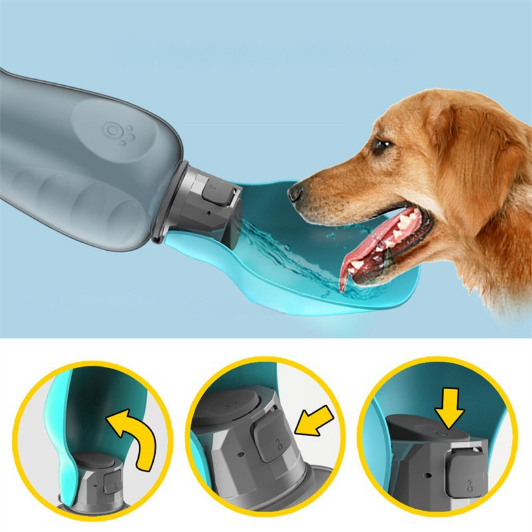 Portable dog water bottle with built-in bowl and one-button dispenser for outdoor hydration depiction of use