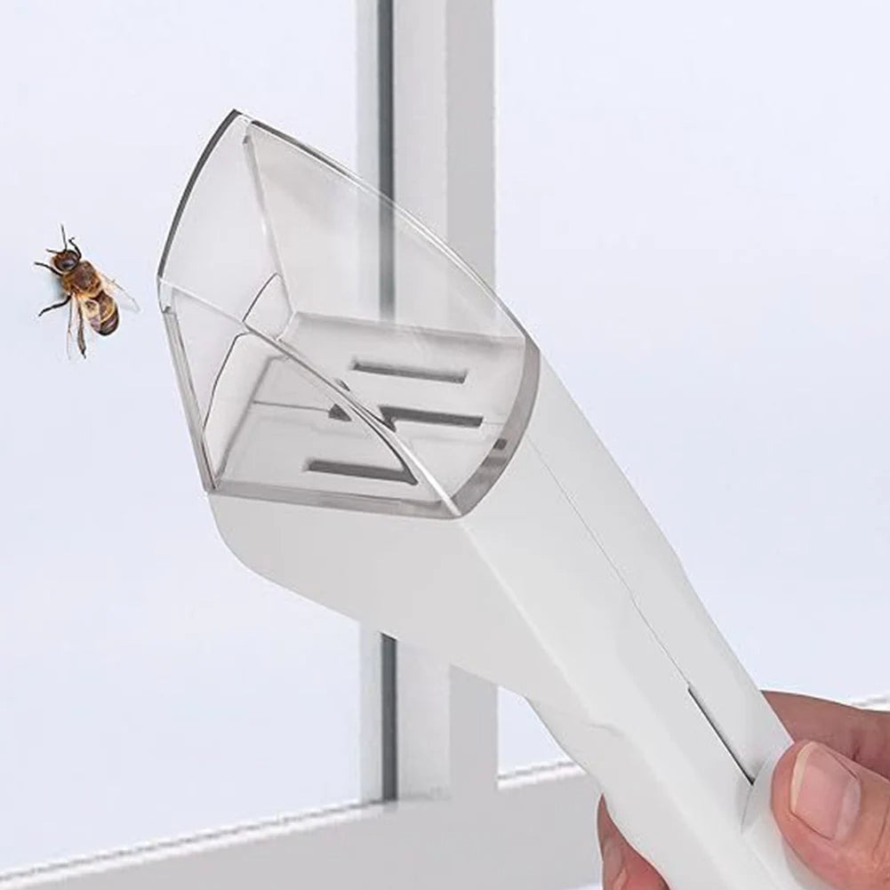 Portable insect catcher with transparent design for safe bug capture and observation depiction of use
