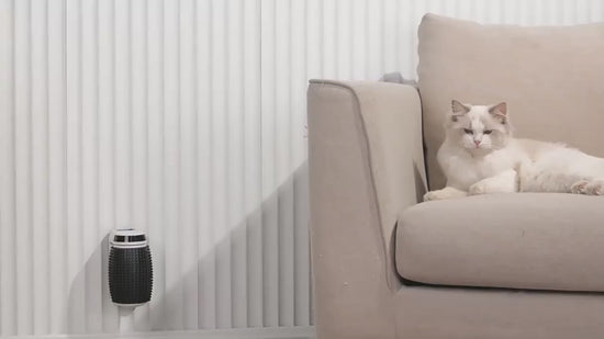 Automatic self-groomer for cats that helps remove loose fur while massaging and scratching during daily grooming depiction video