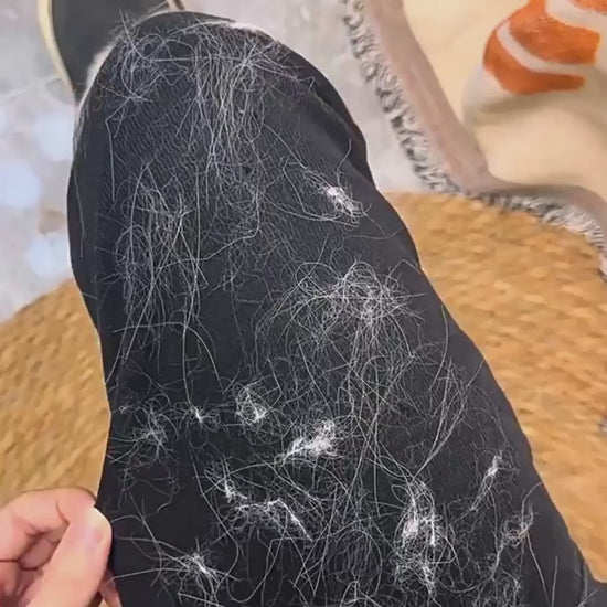 Pet hair removal gloves for grooming shedding and bathing dogs and cats video