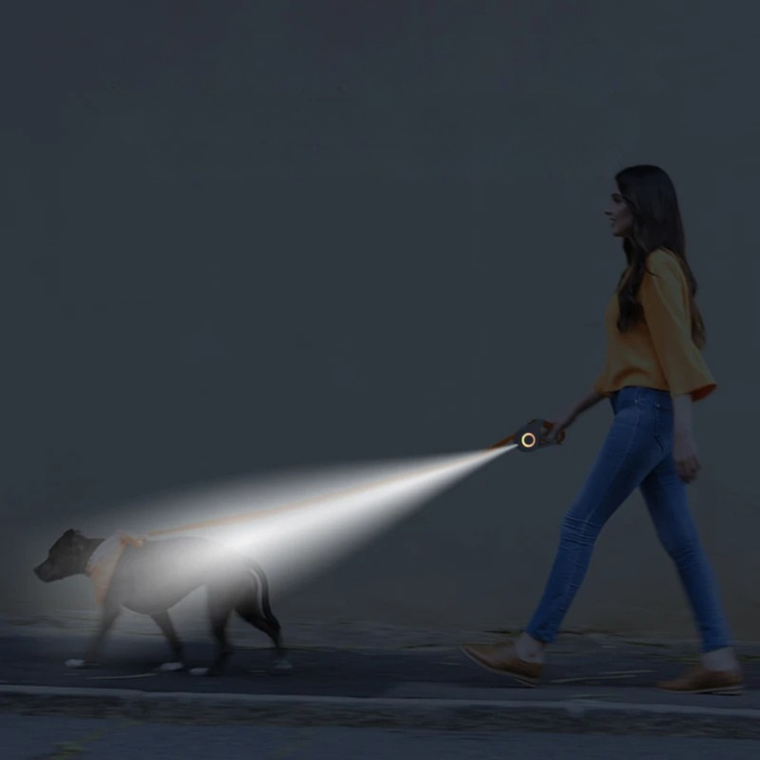 Retractable led dog leash with flashlight and rgb light ring for night walking safety model shot