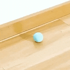 Rolling ball cat toy with self moving motion for interactive play and active cats depiction of rolling