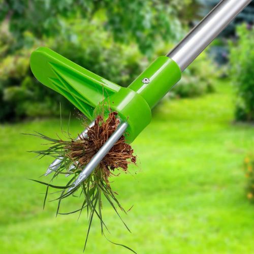 Stand up weed puller tool with long handle and foot pedal for easy root removal depiction of weed pulling