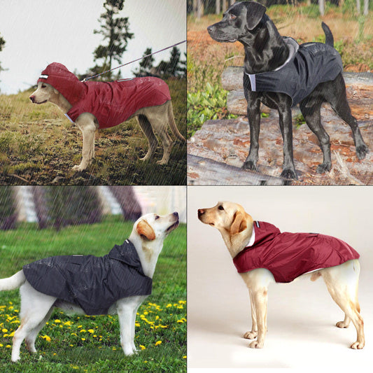 Waterproof dog raincoat with hood lightweight pet jacket for rainy weather dog model shots